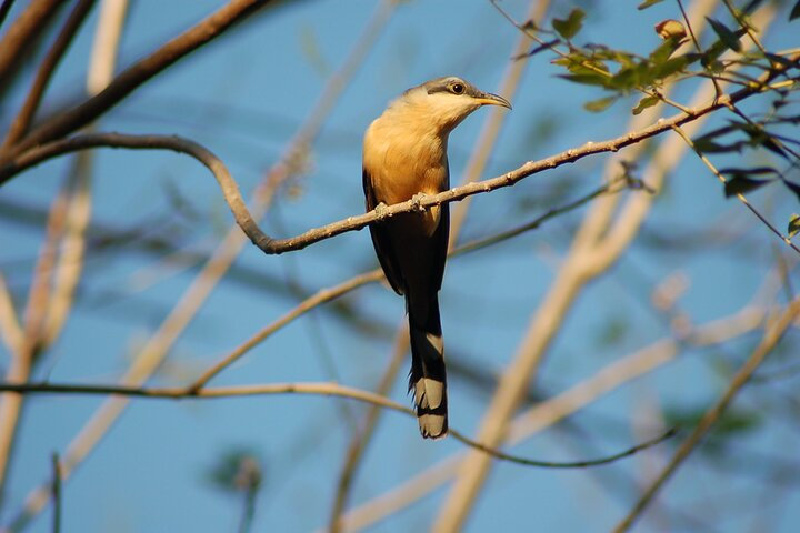 Birdwatching hiking tour - Photo 1 of 20